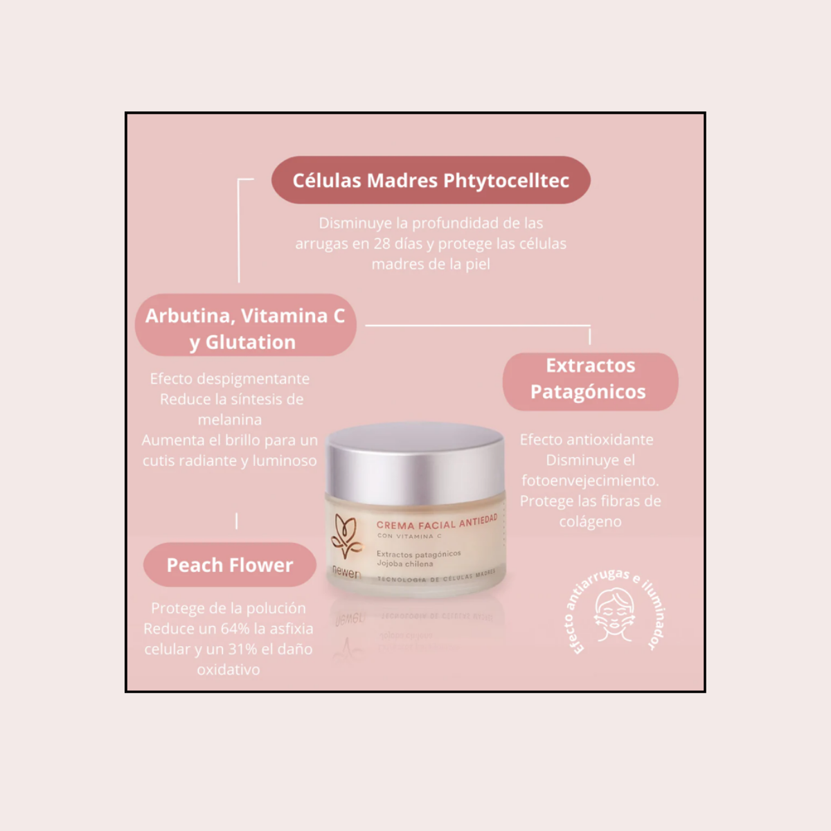 Crema Facial Antiedad Células Madres Newen 50 ml