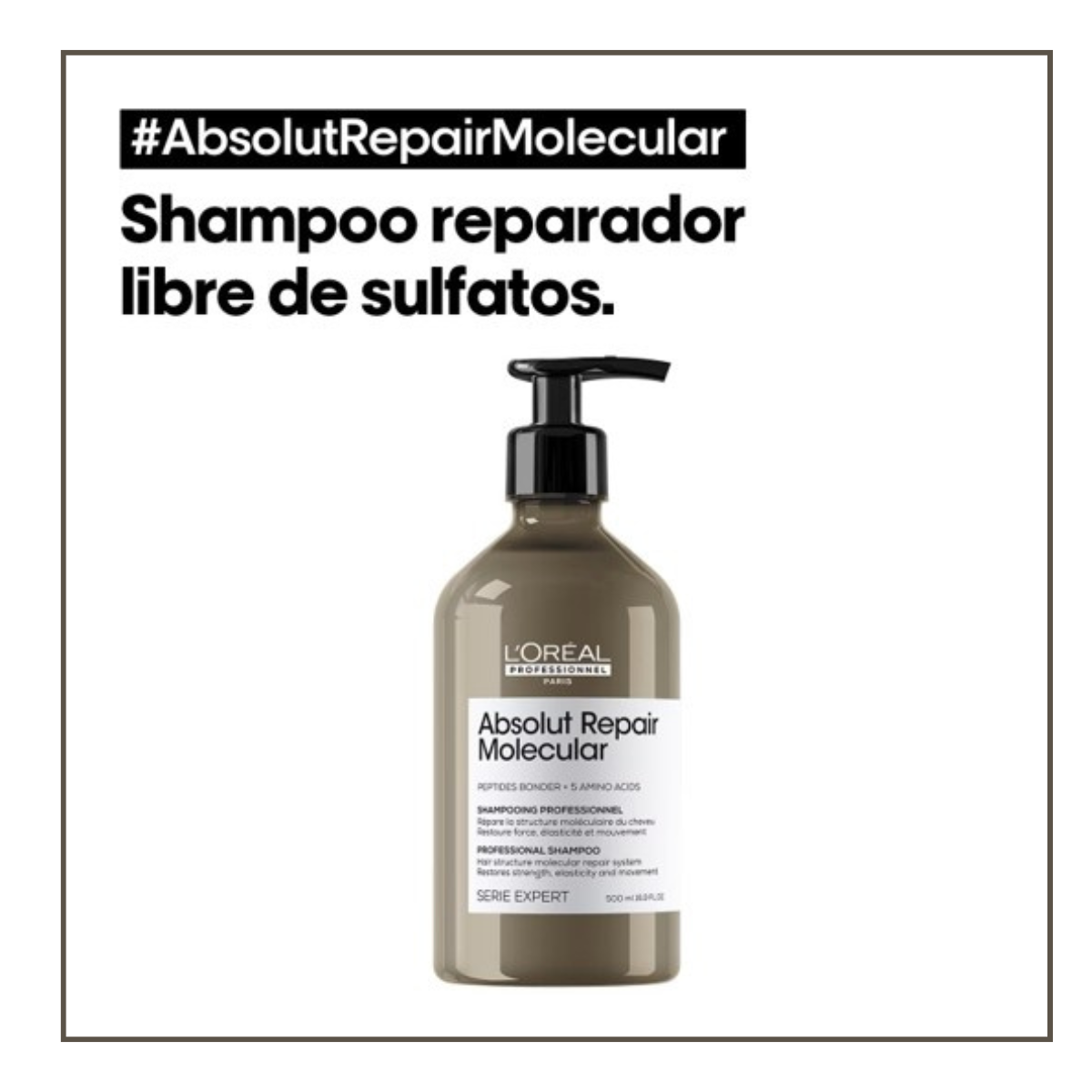 Shampoo Absolut Repair Molecular 500 ml Loreal Professionel