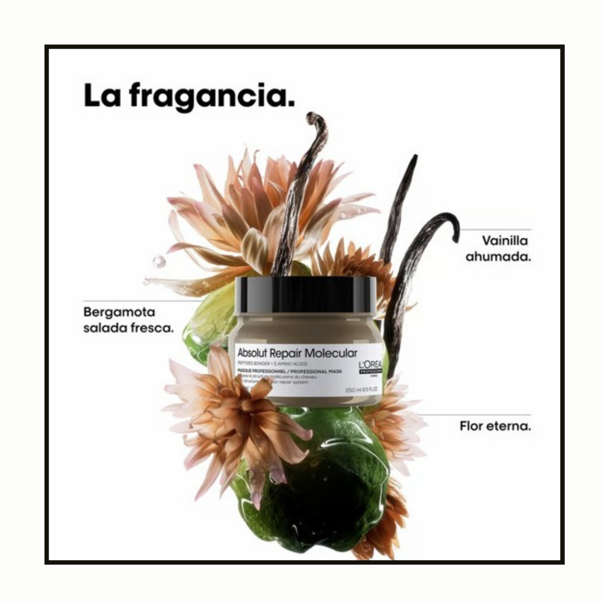 Máscara Absolut Repair Molecular 250 ml Loreal