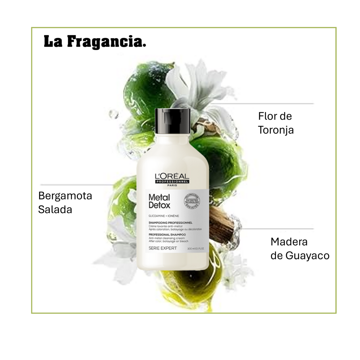 Shampoo Metal Detox 300 ml Loreal Professionel