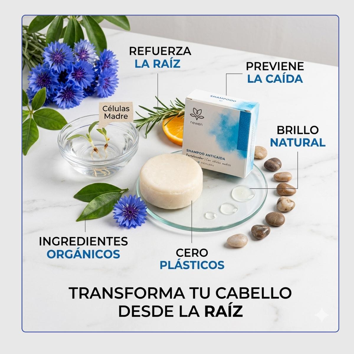 Shampoo Solido Anticaída Con Células Madre 80 Grs. Newen