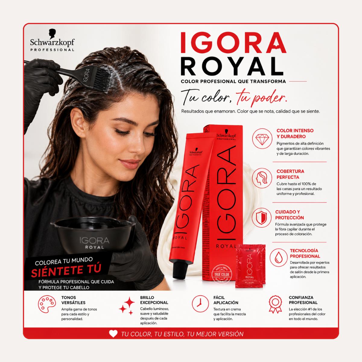 Tintura Igora Royal 1-1 Negro Ceniza + Activador